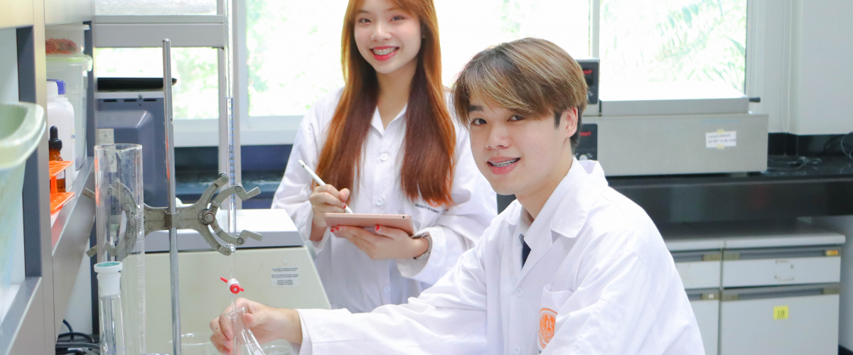 ปริญญาตรี